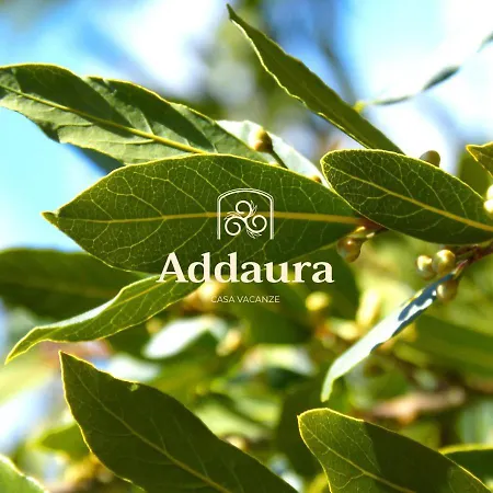Addaura Appartamento Catania
